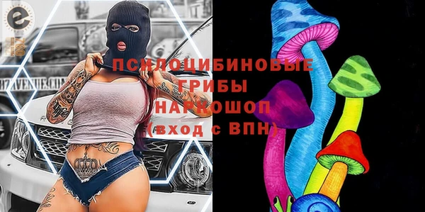 спайс Алзамай